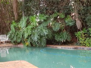 3 Bed House in Wingate Park