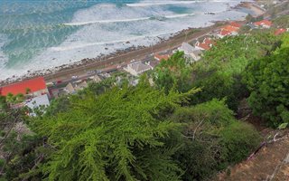 1939 m² Land available in St James