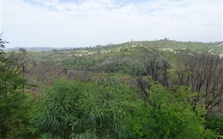 1200 m² Land available in Knysna Heights