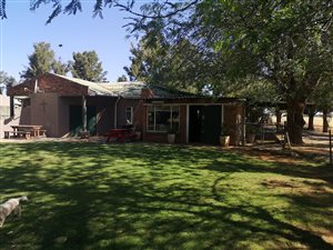 43.5 ha Farm in Bloemfontein Rural