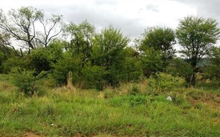 2204 m² Land available in Swartruggens