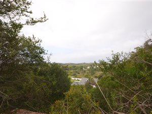 21 ha Land available in Keurboomstrand