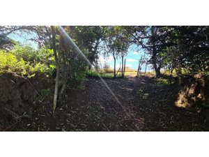 Farm in Parys