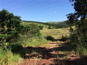 5000 m² Land available in Hammarsdale