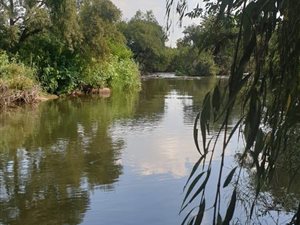 11.7 ha Land available in Pyramid