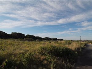 450 m² Land available in Forest Downs
