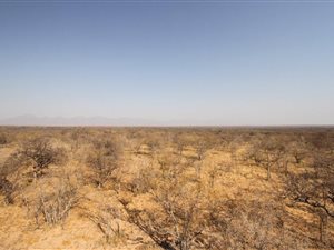 1684 ha Farm in Hoedspruit