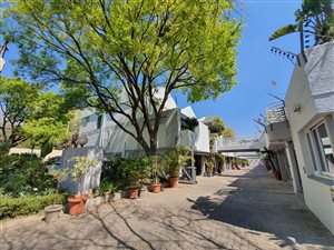 3 Bed Apartment in Melrose
