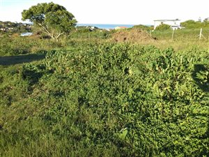 940 m² Land available in Forest Downs