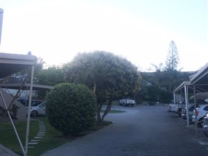 2 Bed Apartment in Loevenstein