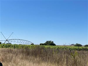 342 ha Farm in Jacobsdal