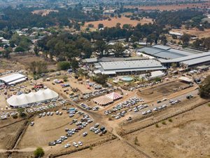 11 m² Commercial space in Parys