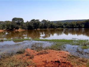 1440 ha Farm in Middelburg Central