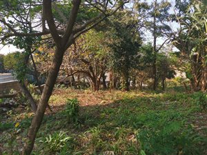 1035 m² Land available in Saiccor