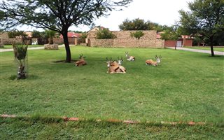 3 Bedroom House in Bothaville