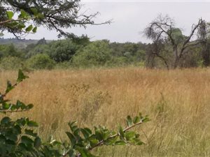 5 ha Land available in Rietfontein