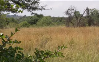 5 ha Land available in Rietfontein