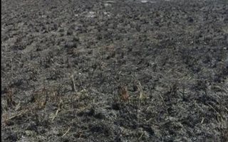 4047 m² Land available in Albert Falls