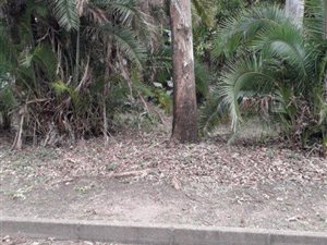 1747 m² Land available in Southbroom