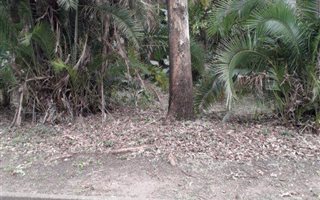 1747 m² Land available in Southbroom
