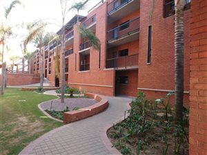 1 Bed Apartment in Melrose North