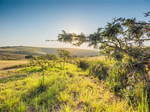 2453 m² Land available in Springvale Country Estate