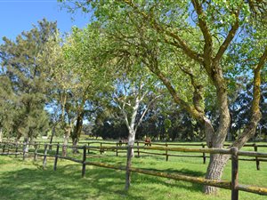 2.2 ha Land available in Durbanville