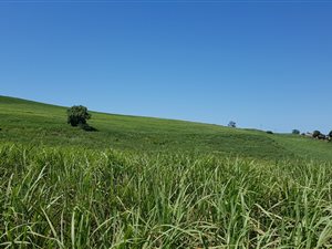 11.1 ha Farm in Fairbreeze
