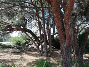 293 m² Farm in Riversdale