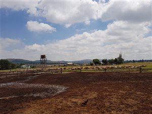 4.8 ha Farm in Heidelberg AH