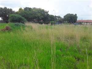 1408 m² Land available in Falcon Ridge