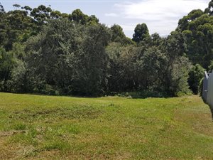 1032 m² Land available in Heather Park