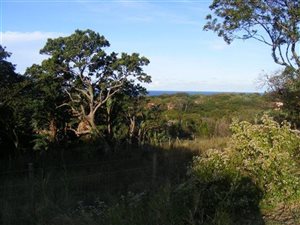 1062 m² Land available in Leisure Bay