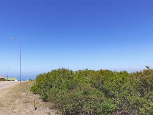 1.1 ha Land available in Dana Bay