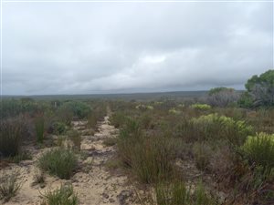 542 ha Farm in Heidelberg