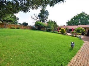 2.2 ha Smallholding in Randfontein