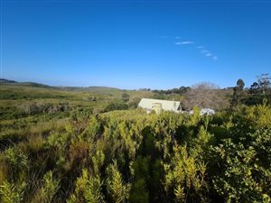 18 ha Farm in Plettenberg Bay