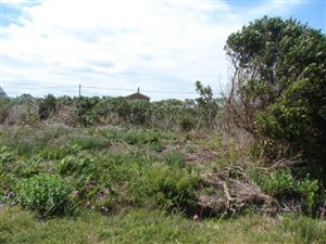 800 m² Land available in Bettys Bay