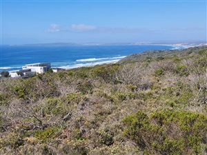 3624 m² Land available in Dana Bay