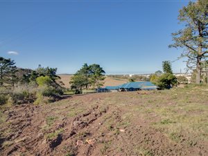 135 ha Land available in Diaz Beach