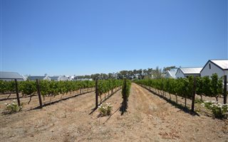 619 m² Land available in Croydon Vineyard Estate