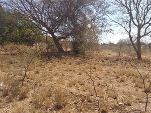8125 m² Land available in Ivy Park