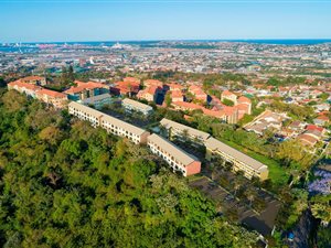 2 Bed Apartment in Montclair