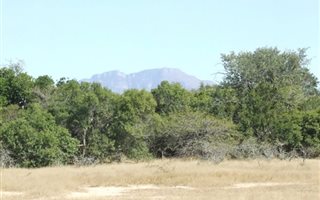 1 ha Land available in Moditlo Nature Reserve