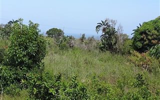 2048 m² Land available in Banners Rest