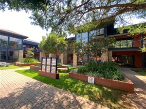 225 m² Commercial space in Little Falls