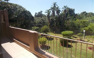 2 Bedroom Apartment in Palm Beach