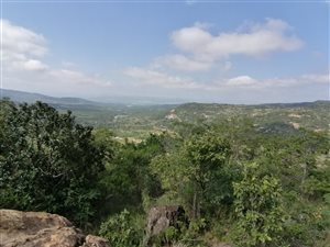 5 ha Land available in Rocky Drift