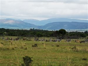 227 ha Farm in Alma