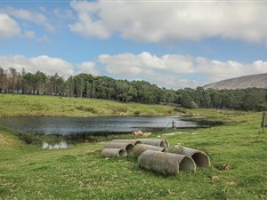 21.8 ha Farm in Uitenhage Central
